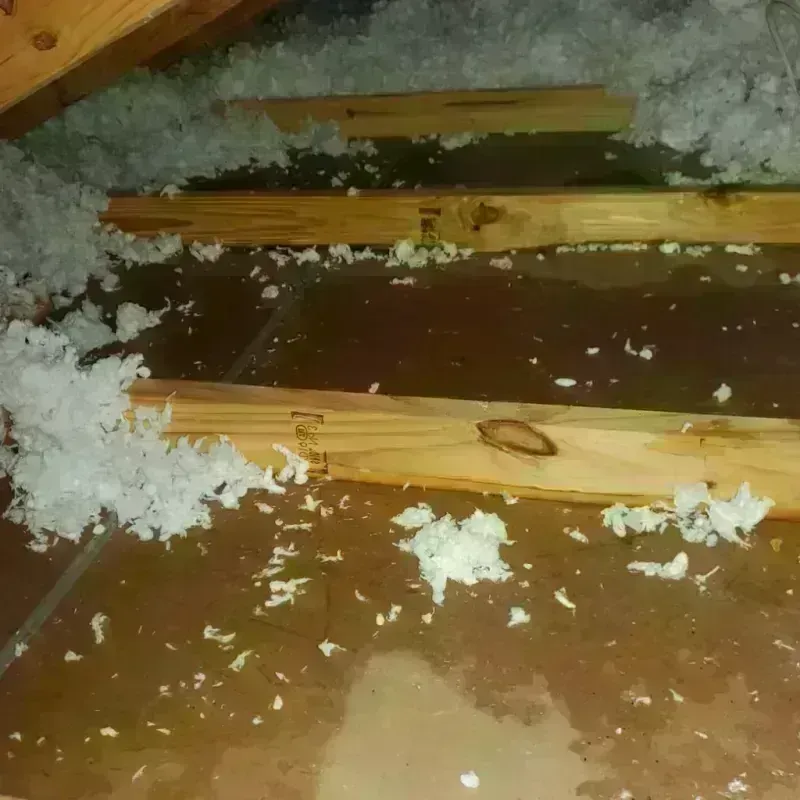 Attic Water Damage in Amboy, WA