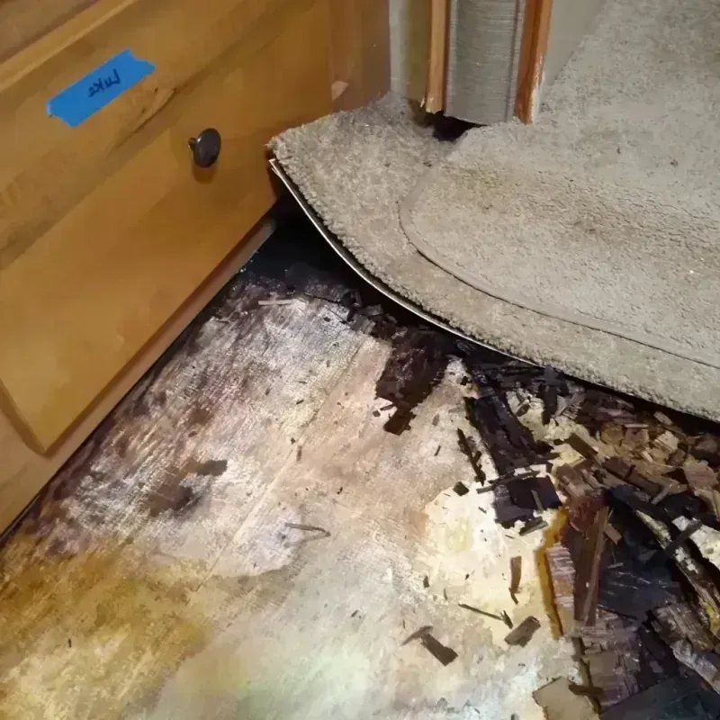 Wood Floor Water Damage in Amboy, WA